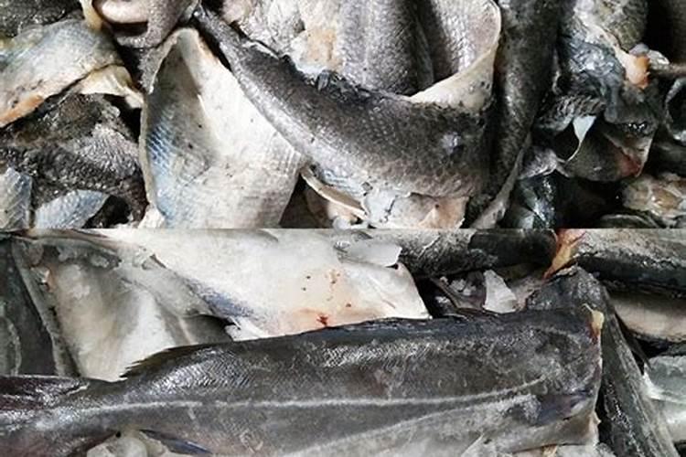 海藻鱼蛋白母液属于危险品吗