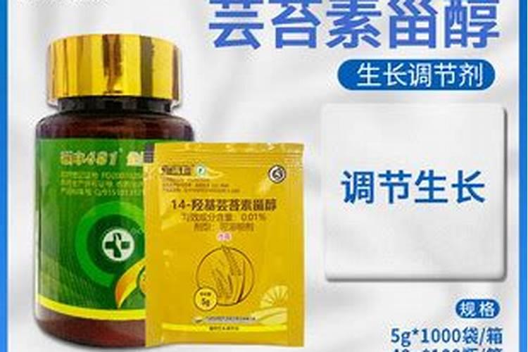 油菜素内酯bl还是br