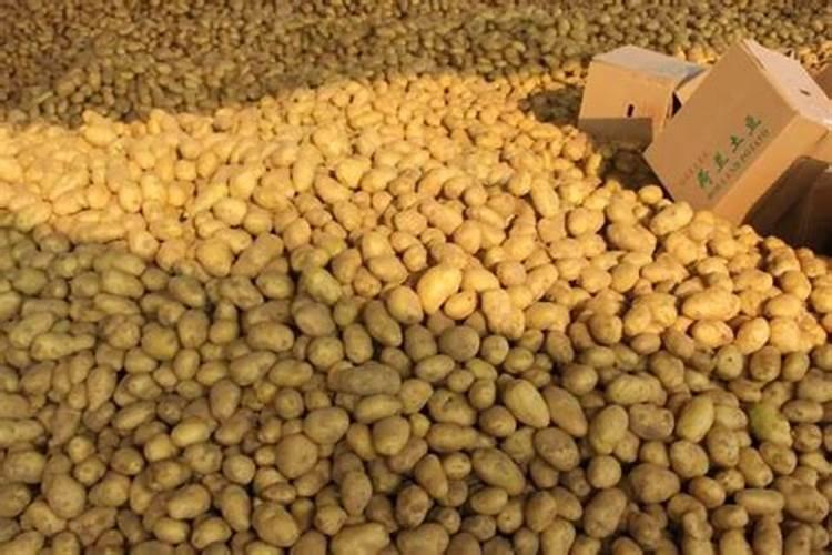 ...当钾肥和磷肥的施用量一定时,土豆的产量与氮肥的施用量有如下关系...