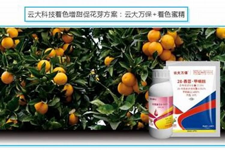 芸苔素喷施后几小时下雨不影响效果