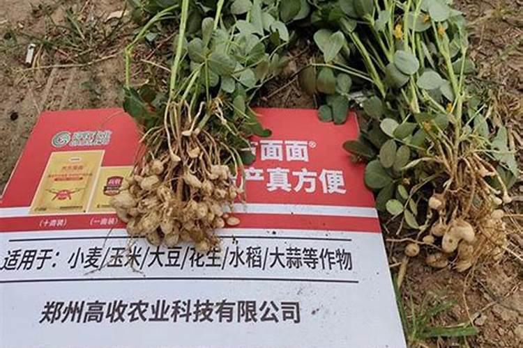 重茬花生用什么化肥