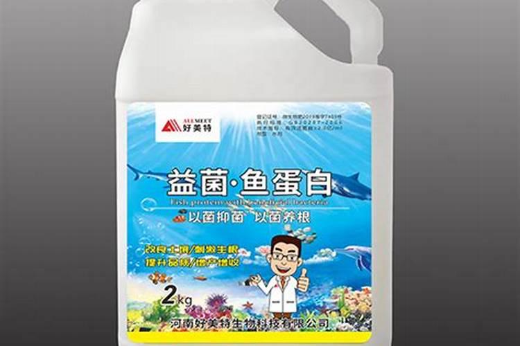 生物菌肥哪种最好