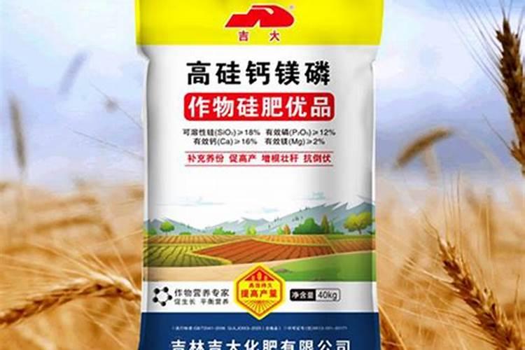 如何进行大棚土壤施肥