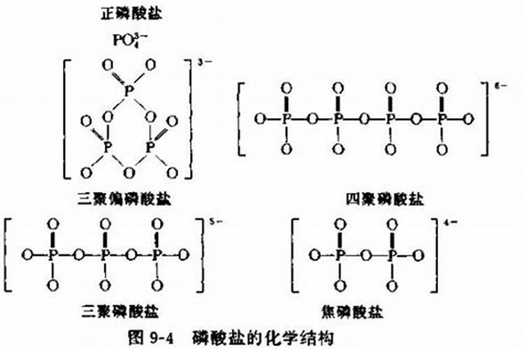 多聚磷酸盐