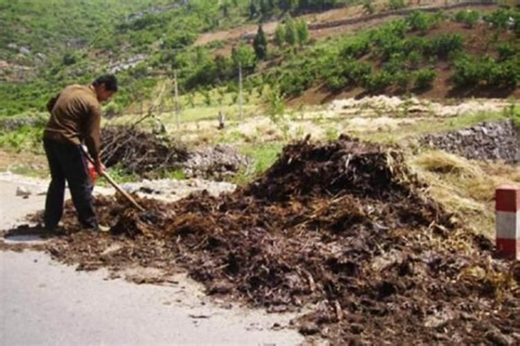 自制有机肥的5种方法