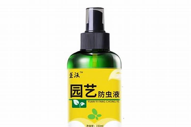 幸福树叶子有黑斑怎么回事 防治方法有哪些