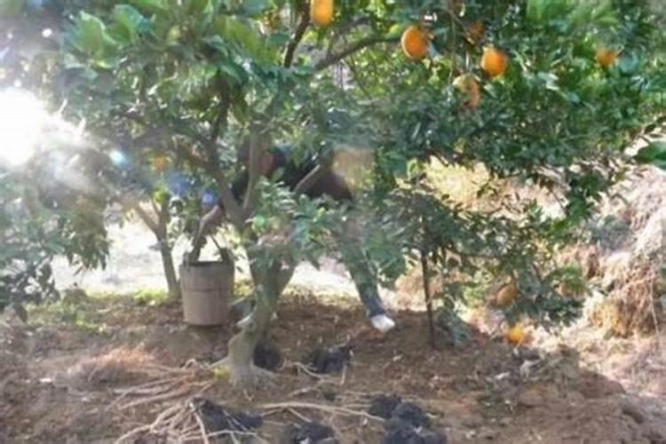 晋开集团有那些化肥厂