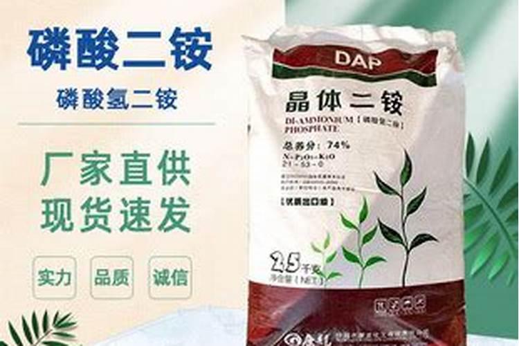 大豆田的野豆子用什么除草剂？