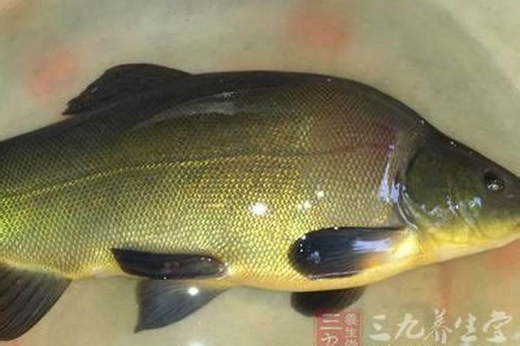 张家口润蓝生物科技有限公司怎么样？