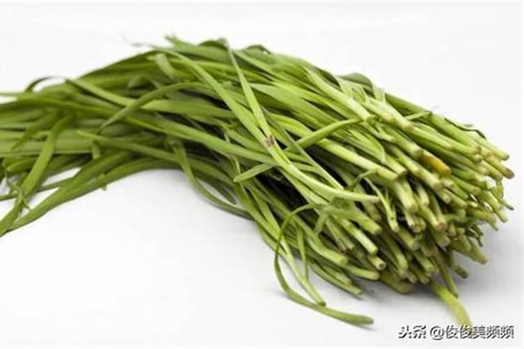韭菜种植技巧是什么