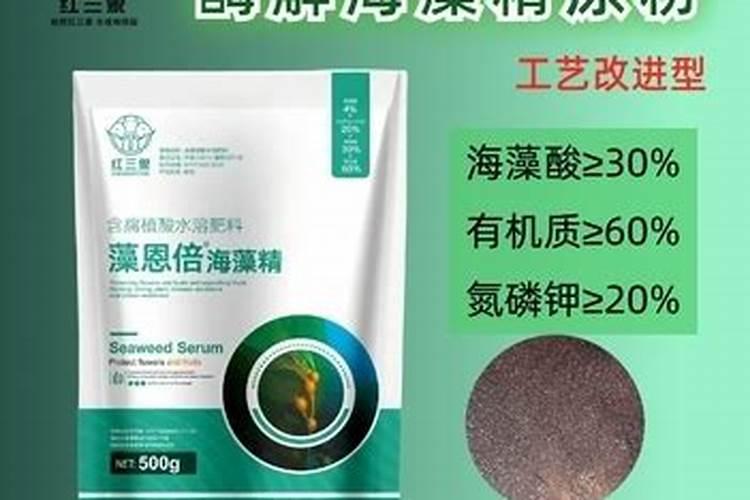柑橘采收能喷海澡精吗？