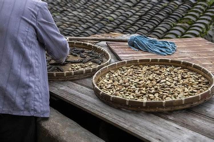 豆角追什么叶面肥结果好？叶面肥什么品牌好？叶面肥价格多少钱一斤？