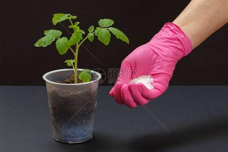 河北斐默特生物科技有限公司怎么样？