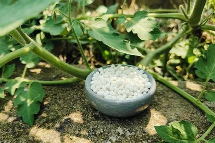 河边颜色有点像水泥的土是什么？