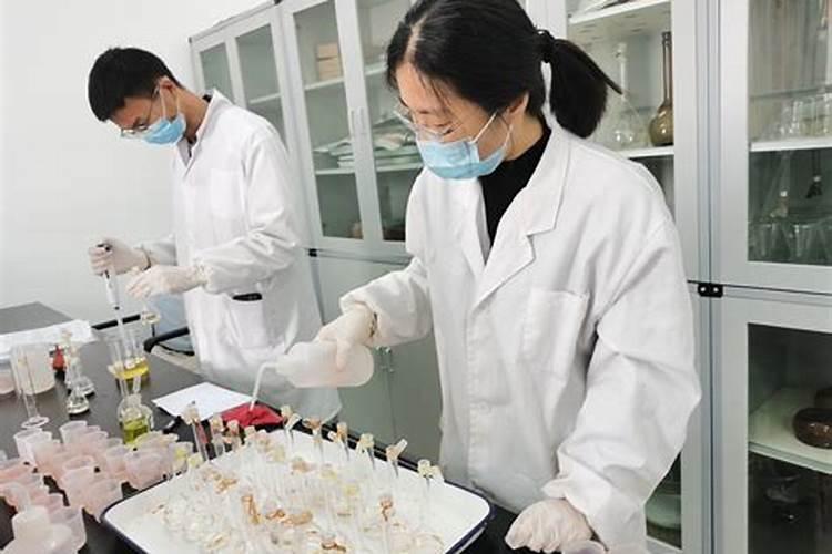 控释肥与复合肥的区别