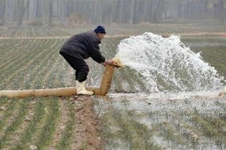 氮肥对农作物的影响