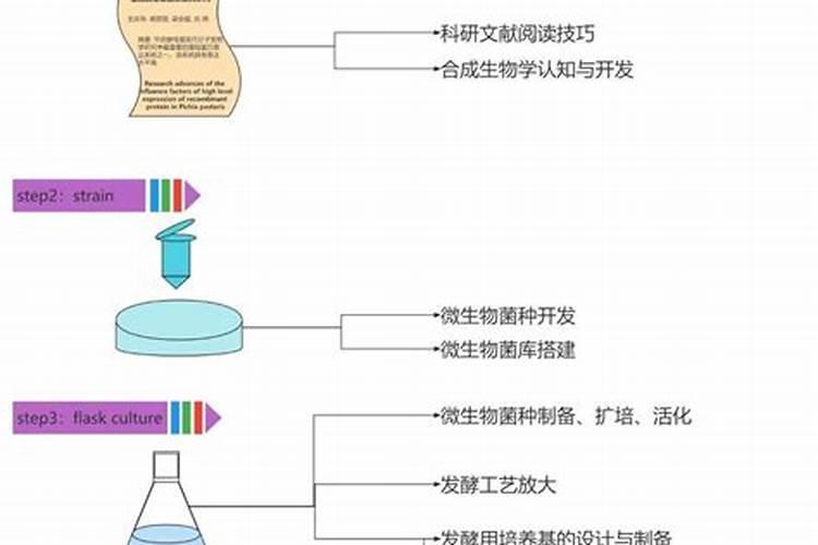 橘子皮是磷肥还是钾肥