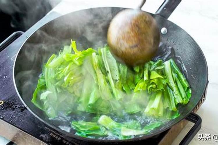 老师怎样种才能提高油麦菜产量？