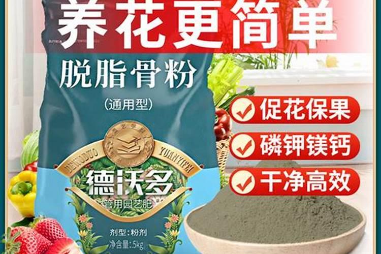 兰花怎样施骨粉