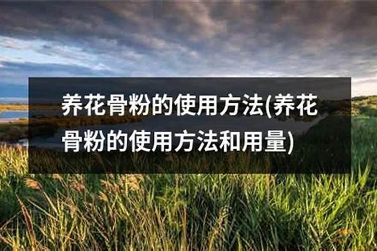 兰花用骨粉怎么用