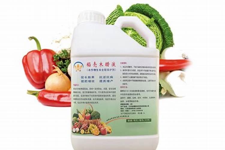 高粱种子多少钱一斤(甜高粱种子价格及播种种植方法)