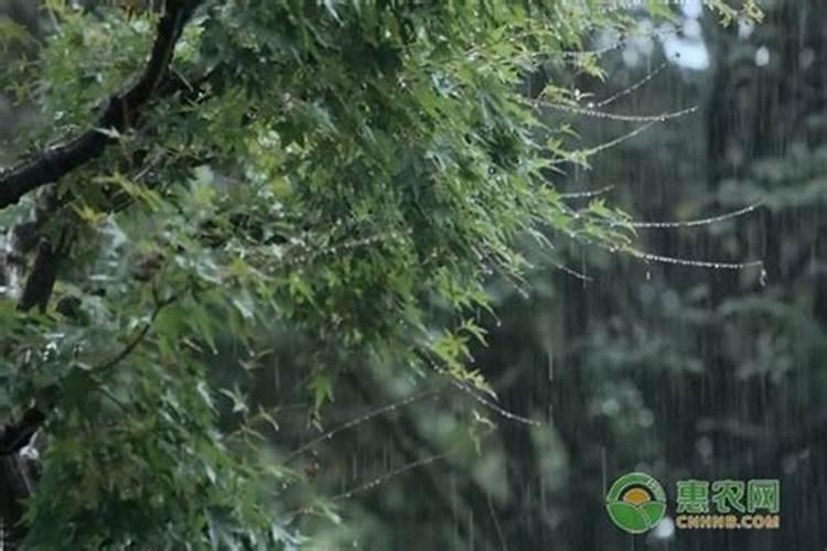 复合肥怎么使用正确要马上浇水