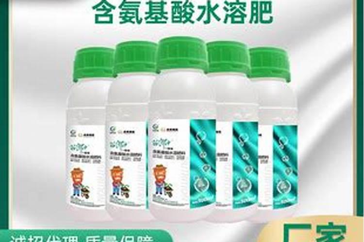 氨基酸在果树哪个时期用最佳