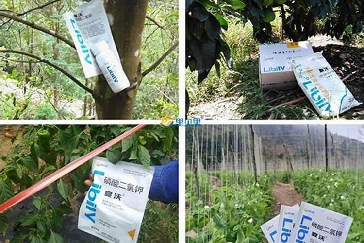 缓控释肥和缓释肥、控释肥有什么不同？缓控释肥与复合肥的区别？