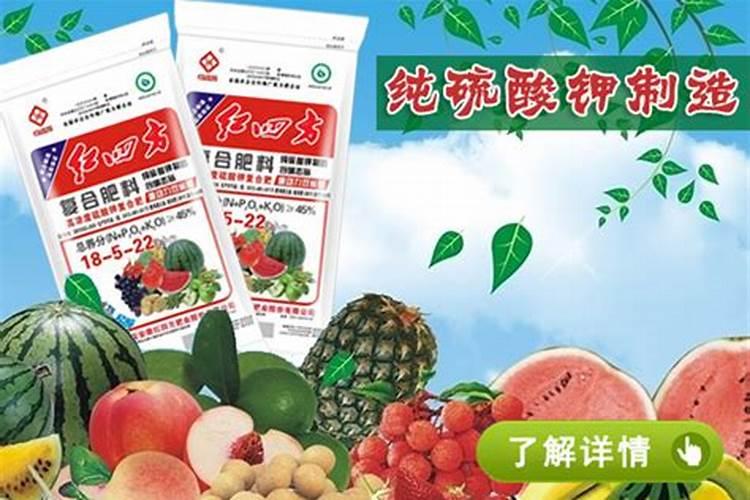 临沂市金诺尔生态化肥有限公司怎么样？