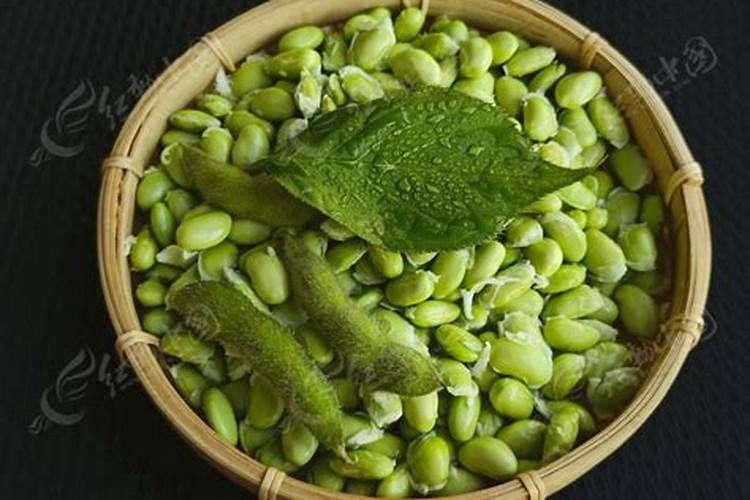 江西蔬菜叶面肥木醋液