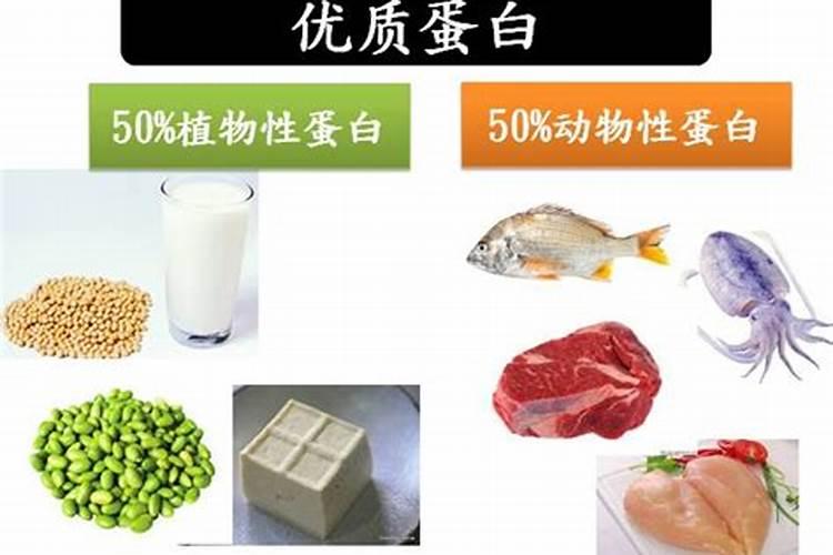 鱼蛋白自制配方