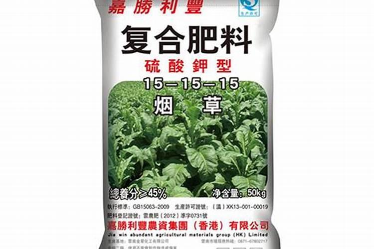 吊瓜的种植方法及管理办法