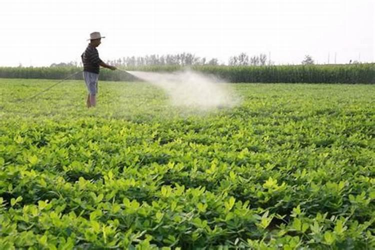 这些UPS都是哪些品牌哪些厂家的