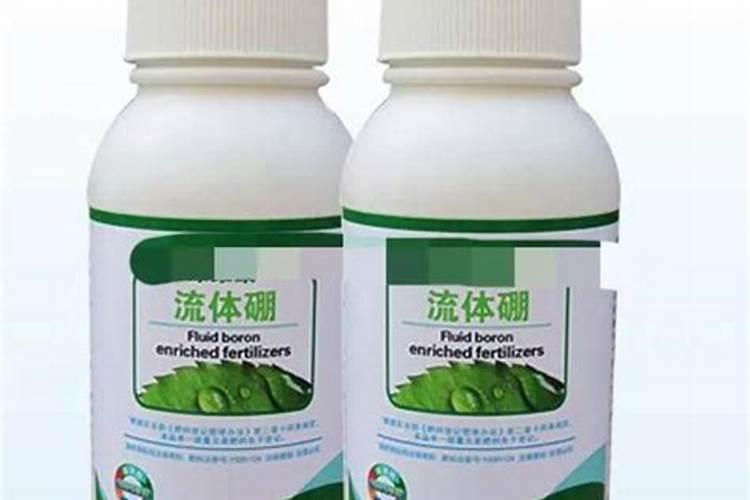 荔枝开花期施什么肥