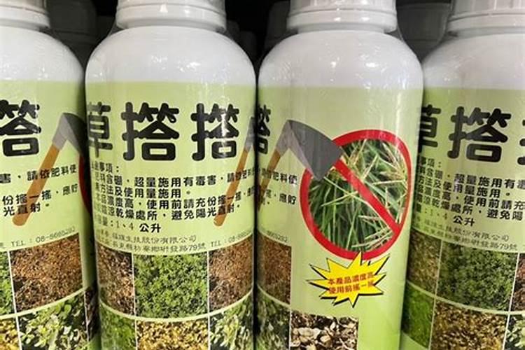 硼酸杀蚂蚁的方法真的管用吗