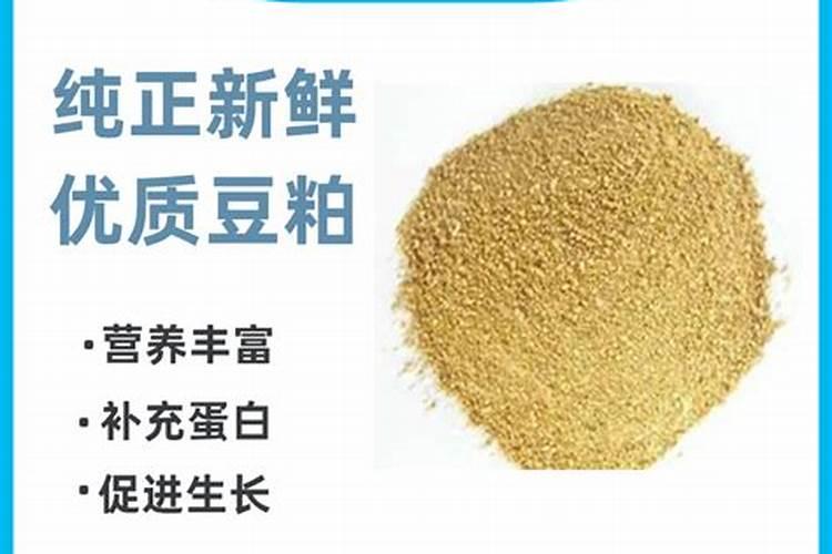 豆粕喂鱼是否直接喂就可以了