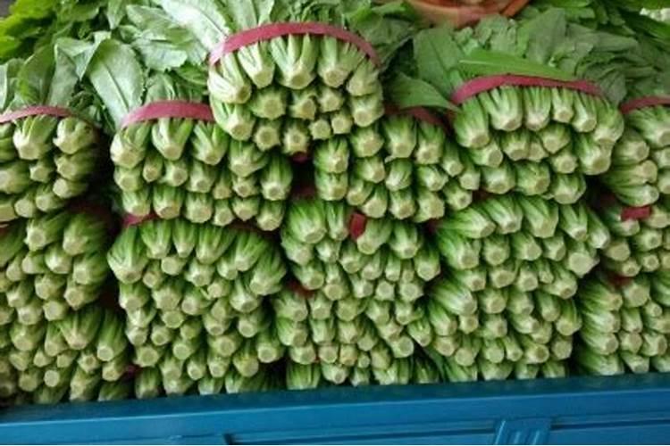 油麦菜用什么肥料好