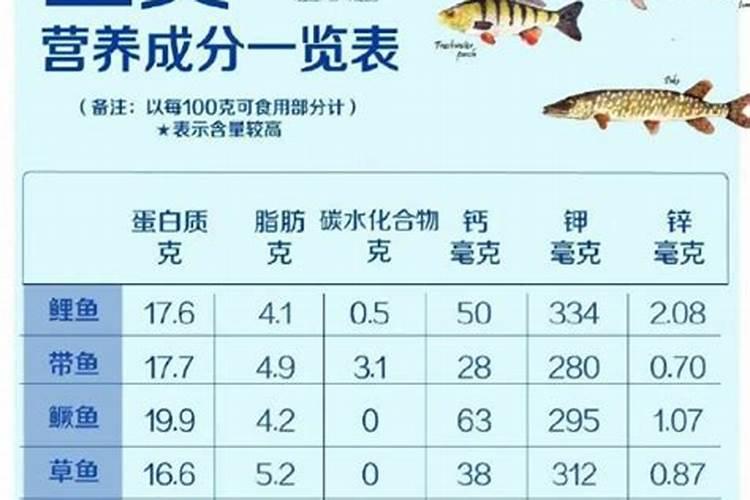 鱼蛋白胶囊鱼蛋白的成分及生理功效