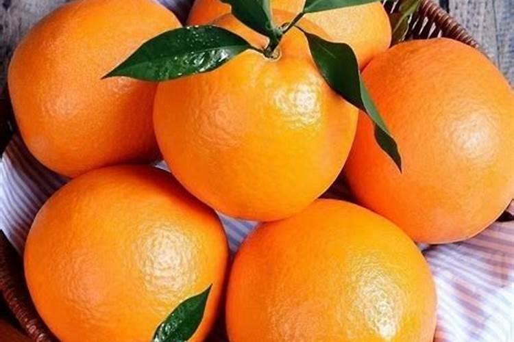 橙子树的施肥原则,橙子树怎样施肥效果好