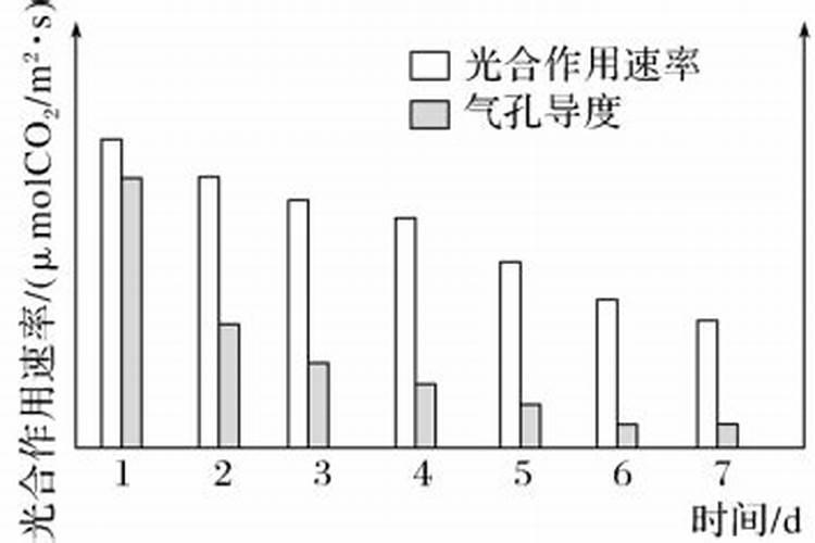 白掌不开花原因及处理办法