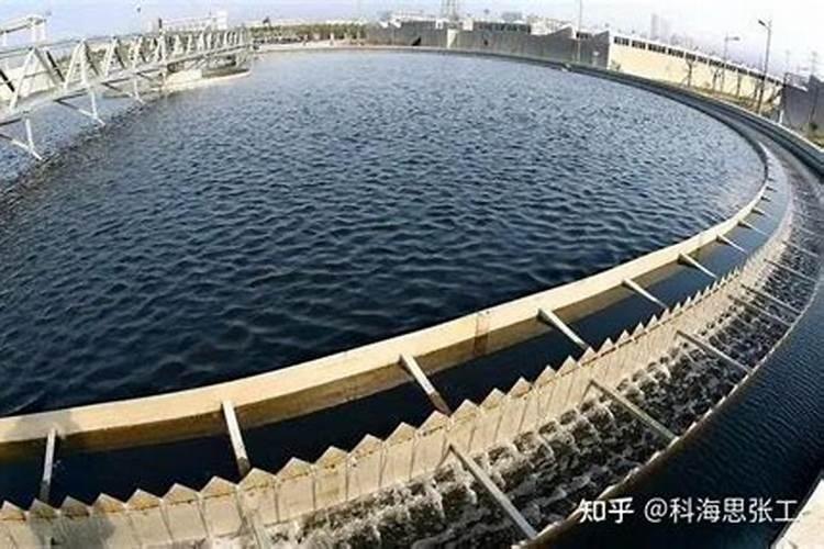 生活污水和工业废水中主要污染物(总氮、总磷、氨氮、COD 等)的浓度百...