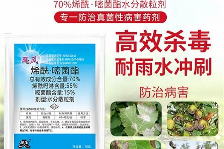 土豆早晚疫病用什么药