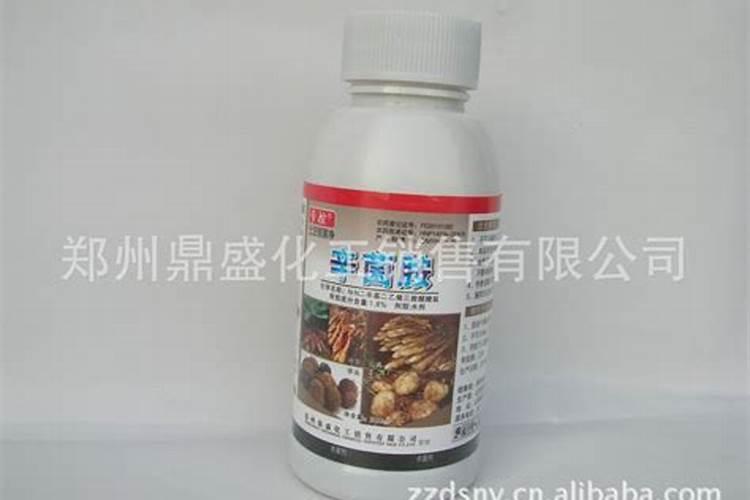 马铃薯晚疫病用什么药