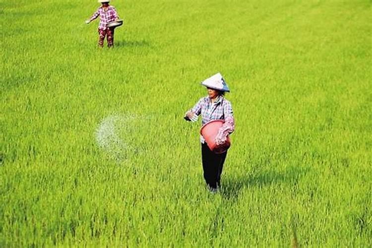 肥料中3个17,3个18,3个16是什么意思？