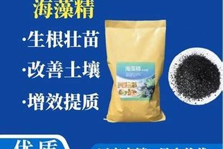 海藻肥属于什么肥料 附使用方法