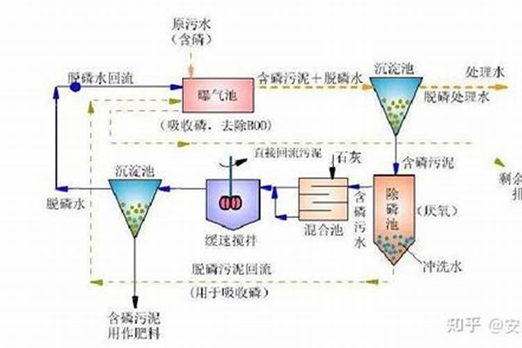 简述生物除磷的原理