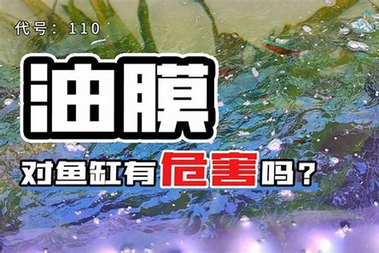 鱼缸里的水草加营养液对鱼有影响吗？