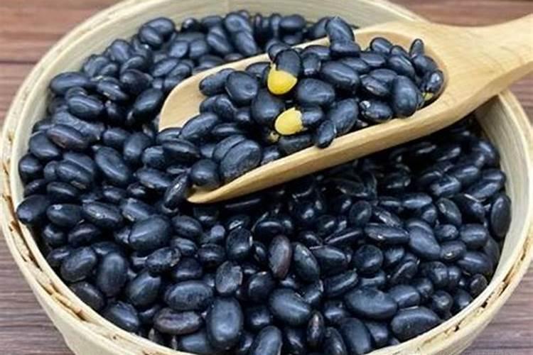 黑豆能做花肥吗 黑豆可以当肥料养花吗