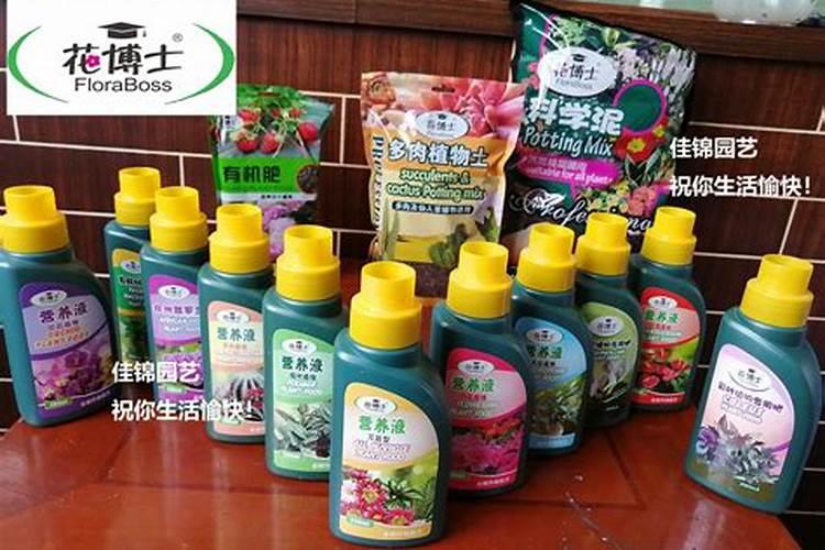 白掌施肥施什么肥料