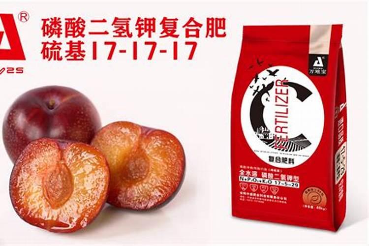 李子树光开花不结果怎么办